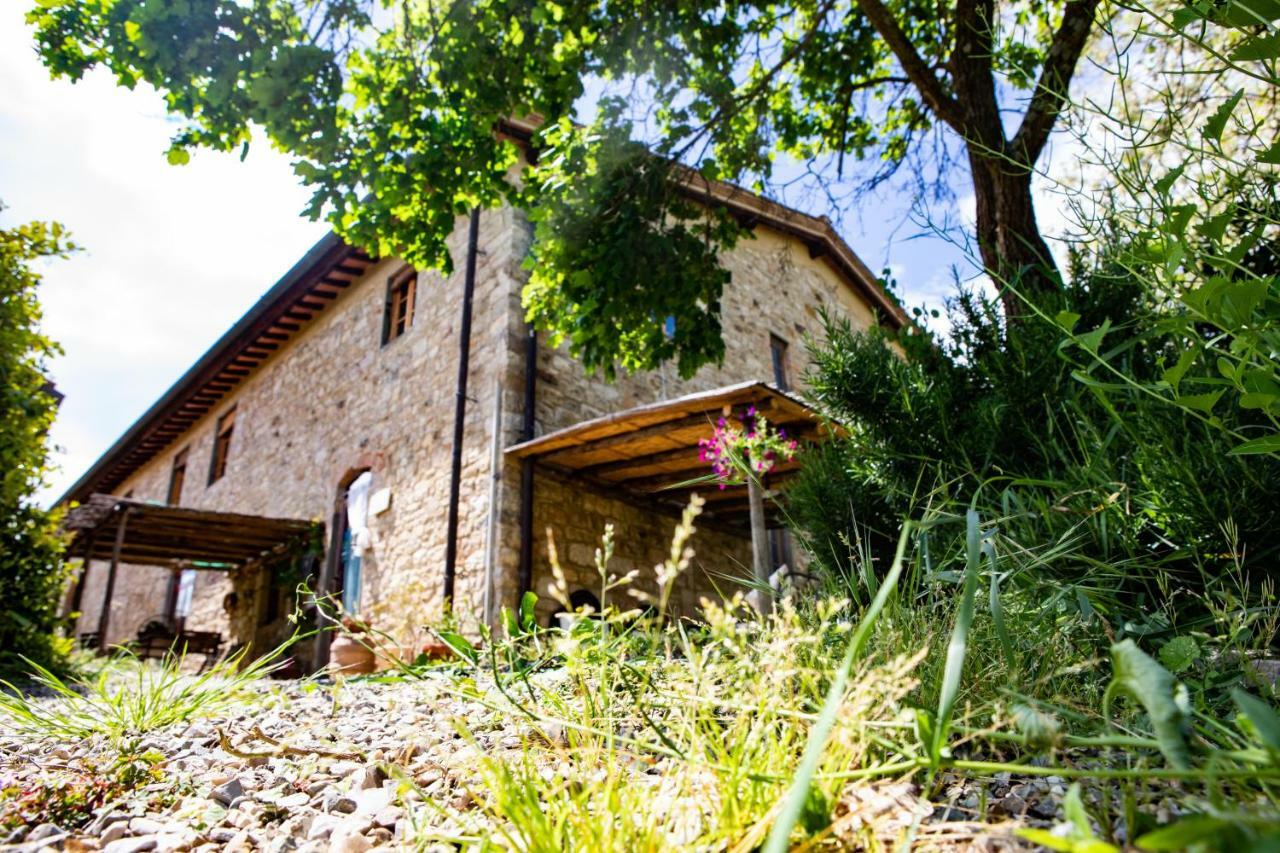 Il Vichiaccio Country House Impruneta Dış mekan fotoğraf